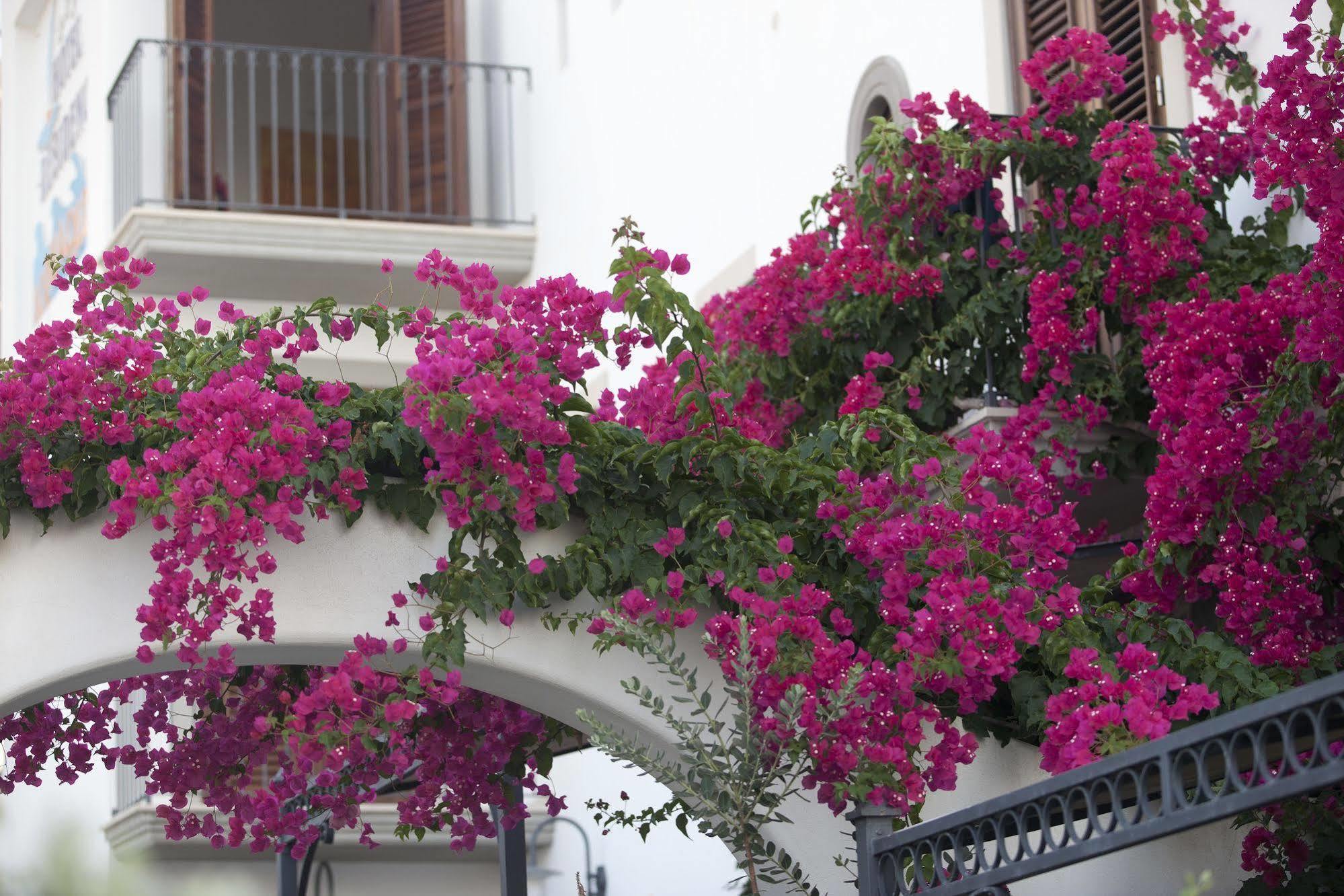Hotel Residence Acquacalda Lipari  Exteriör bild